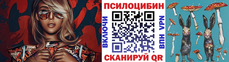 Псилоцибиновые грибы прущие грибы хочу Барыш